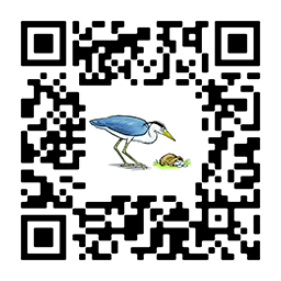 Ein Bild, das Vogel, Text, Zeichnung, Cartoon enthält.